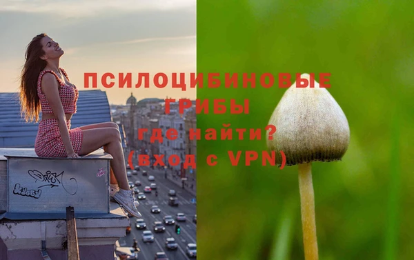 круглые Михайловск