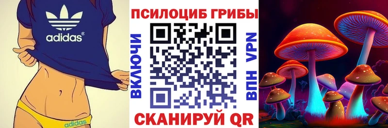 Псилоцибиновые грибы Cubensis  купить   Переславль-Залесский 