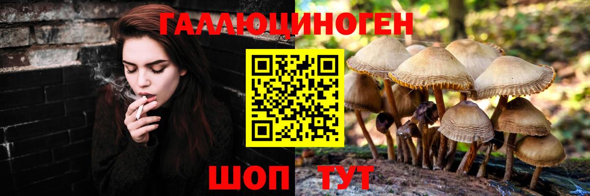 Галлюциногенные грибы MAGIC MUSHROOMS Переславль-Залесский